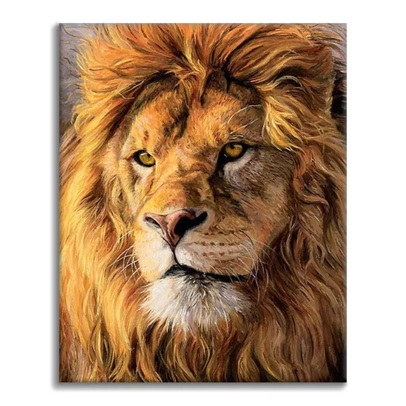 Lion portrait paint by numbers canvas finished example