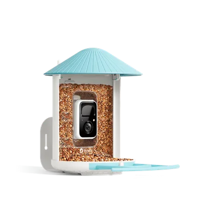 Birdfy product