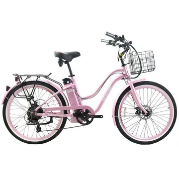 Ebikejoy product