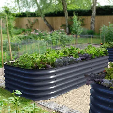 Ollegardens product
