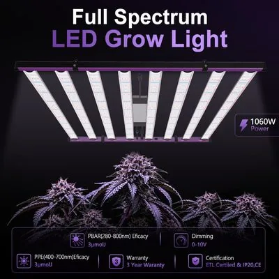 Phlizonstore product