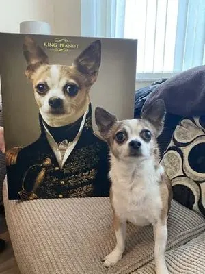 Regalpawtraits product
