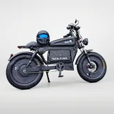 Walfiskebike product