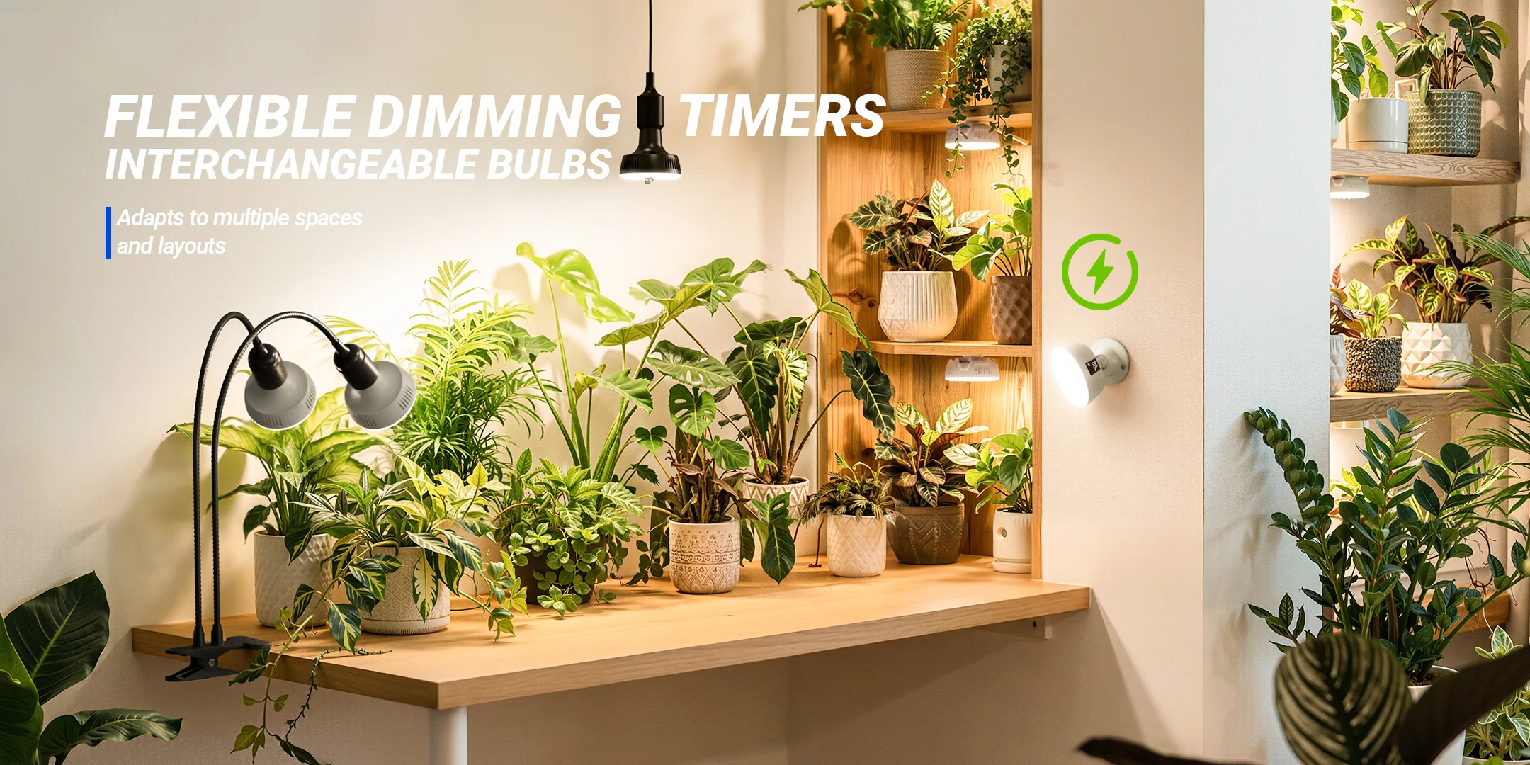 barrina-led product